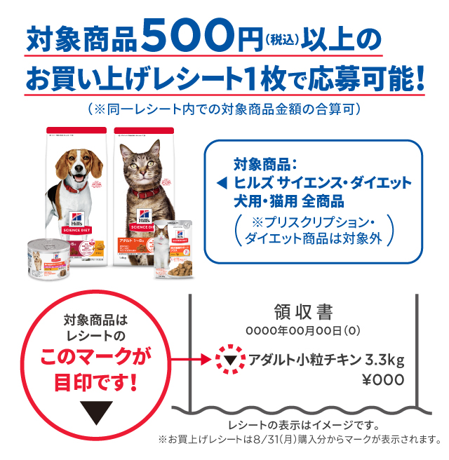 さらにWチャンス！